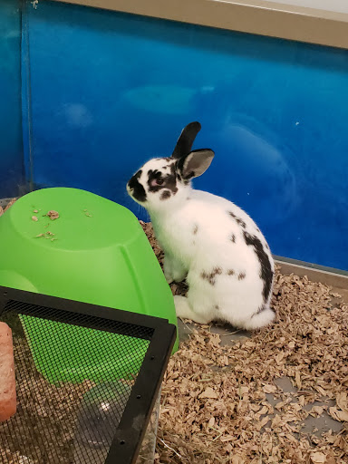 Pet Store «Claremont Pet & Aquarium Center», reviews and photos, 201 Washington St, Claremont, NH 03743, USA