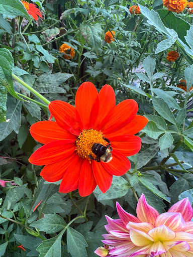 Water Park «Crystal Springs Family Waterpark», reviews and photos, 380 Dunhams Corner Rd, East Brunswick, NJ 08816, USA