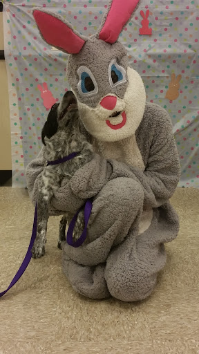 Pet Supply Store «PetSmart», reviews and photos, 9887 76th St, Pleasant Prairie, WI 53158, USA