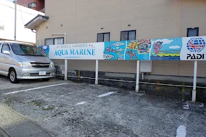 Aqua Marine image