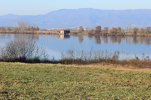 Lago Gherardesca image