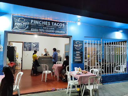 Taquería los pinches tacos - Ursulo Galván, Deportiva, 94970 Paso del Macho, Ver., Mexico