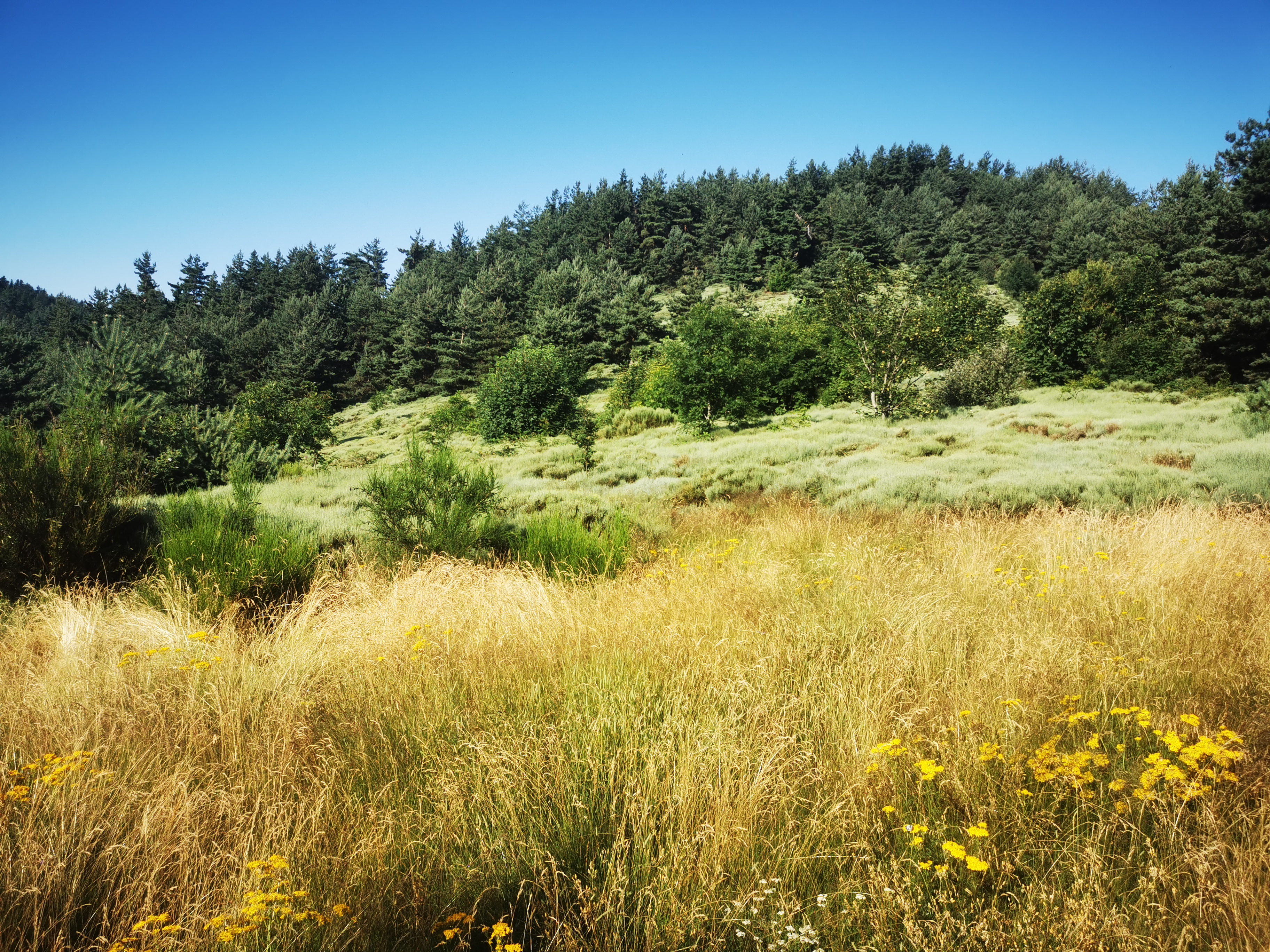 Photo n° 1 de l'avis de Seb. fait le 14/07/2023 à 04:55