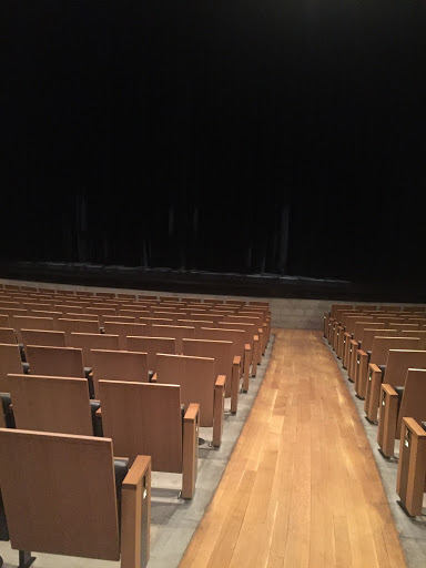 Performing Arts Theater «Dallas City Performance Hall», reviews and photos, 2520 Flora St, Dallas, TX 75201, USA