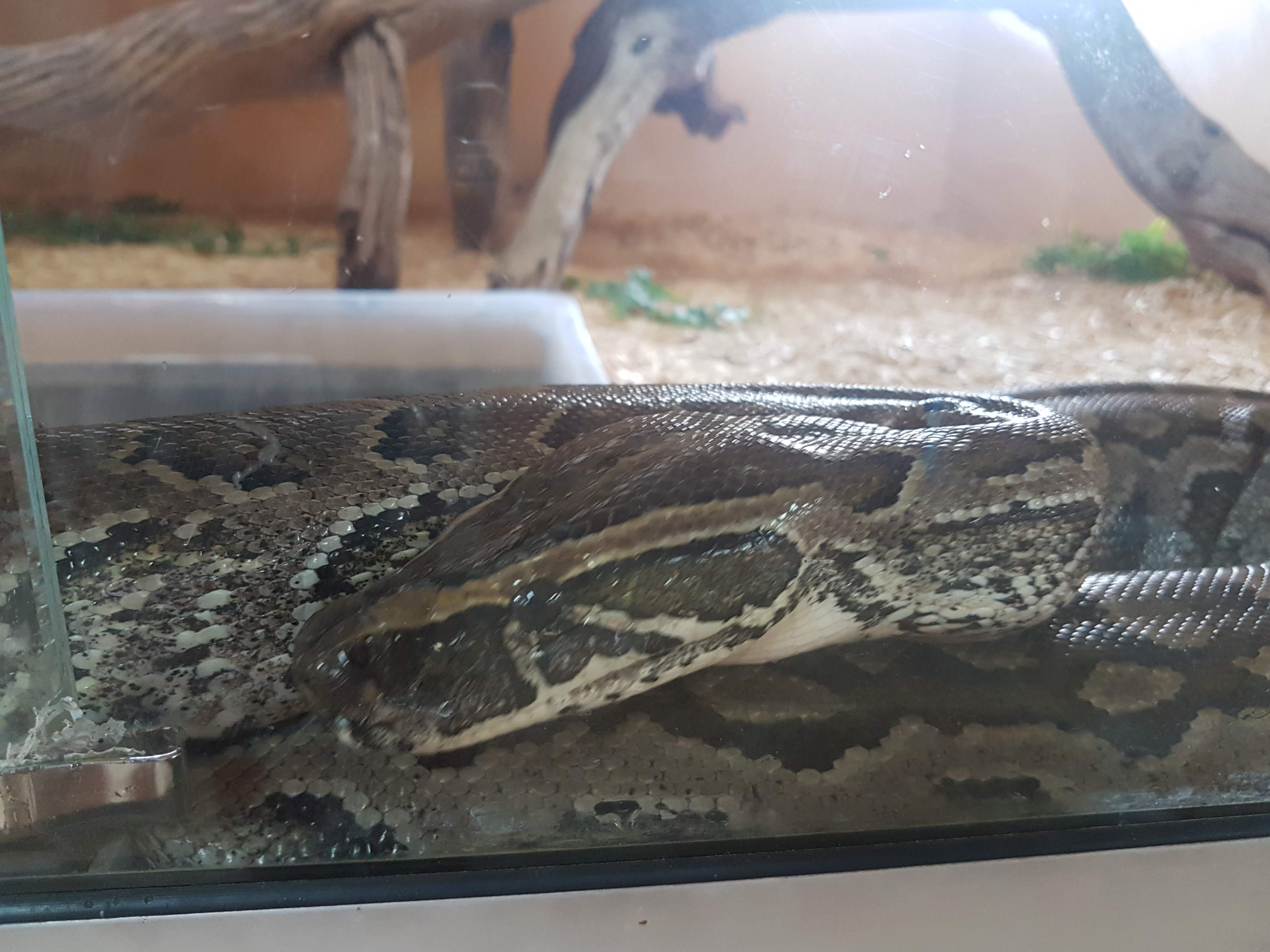 Photo n° 5 de l'avis de Laurent.E fait le 25/08/2018 à 22:09