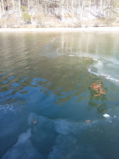 Boat Dealer «Lake Country Marine», reviews and photos, 13721 Anna Point Ln, Mineral, VA 23117, USA