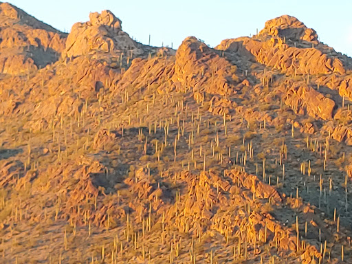 Natural History Museum «Arizona-Sonora Desert Museum», reviews and photos, 2021 N Kinney Rd, Tucson, AZ 85743, USA