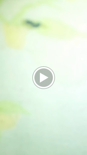 Grocery Store «Fair Park Grocery», reviews and photos, 2203 Lagow St, Dallas, TX 75210, USA