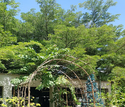 Garden Restaurant Daega photo