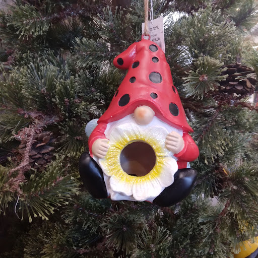 Gift Shop «The Hoot», reviews and photos, 86 Storrs Rd, Willimantic, CT 06226, USA