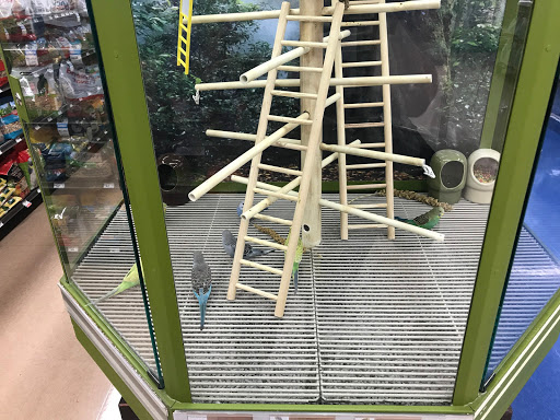 Pet Supply Store «Petco Animal Supplies», reviews and photos, 197 E Dekalb Pike #350, King of Prussia, PA 19406, USA