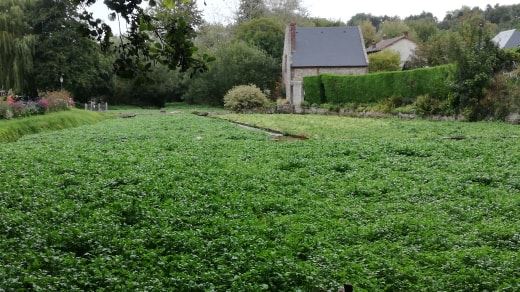 Photo n° 11 de l'avis de Christophe.e fait le 26/09/2018 à 05:33