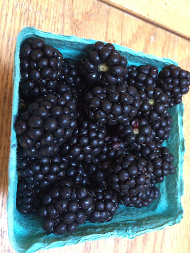 Farm «Manoff Market Gardens», reviews and photos, 3157 Comfort Rd, Solebury, PA 18963, USA