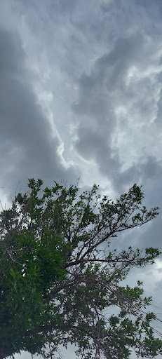 Home Improvement Store «The Home Depot», reviews and photos, 984 Wall Ave, Ogden, UT 84404, USA