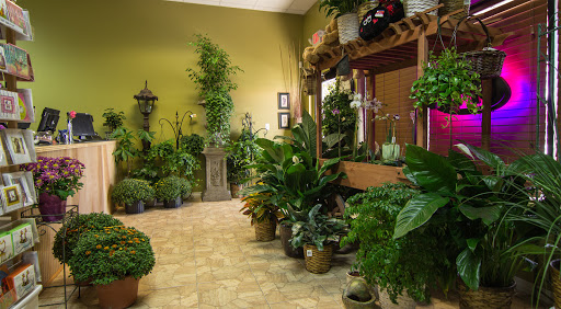 Florist «Carrollwood Florist», reviews and photos, 11745 N Dale Mabry Hwy, Tampa, FL 33618, USA