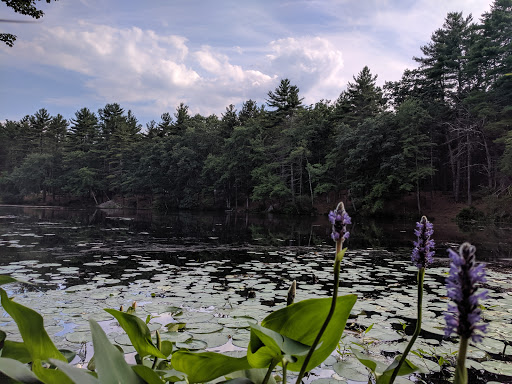 Campground «Lorraine Park Campground», reviews and photos, 133 Jenkins Rd, Andover, MA 01810, USA