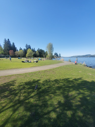 Park «Matthews Beach Park», reviews and photos, 5100 NE 93rd St, Seattle, WA 98115, USA
