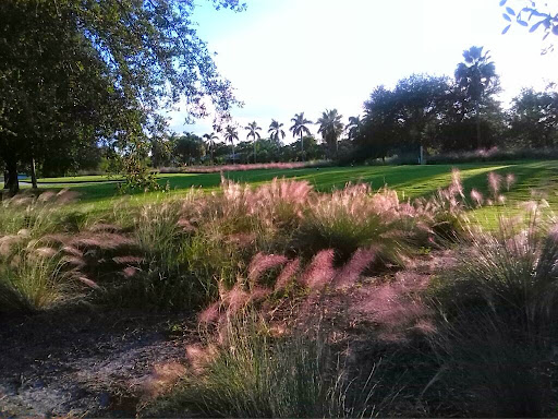 Golf Course «The Bridges at Springtree Golf Club», reviews and photos, 8150 Springtree Dr, Sunrise, FL 33351, USA