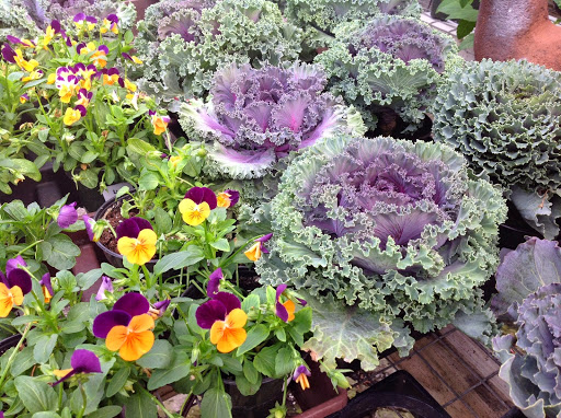 Garden Center «Victoria Gardens», reviews and photos, 1 Cottekill Rd, Rosendale, NY 12472, USA