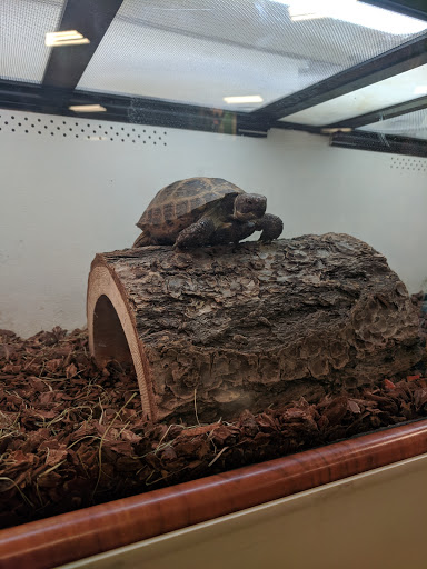 Pet Supply Store «PetSmart», reviews and photos, 466 S Watson Rd, Buckeye, AZ 85326, USA