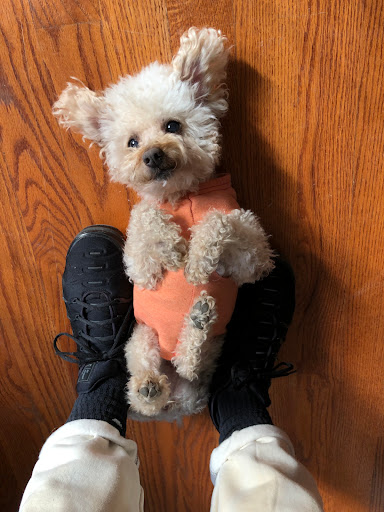 7 Boonton Turnpike, Lincoln Park, NJ 07035, USA