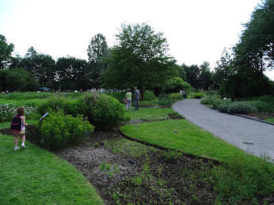 Conservatoire botanique National de Bailleul à Bailleul