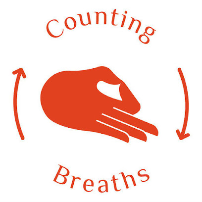 Counting Breaths Meditation