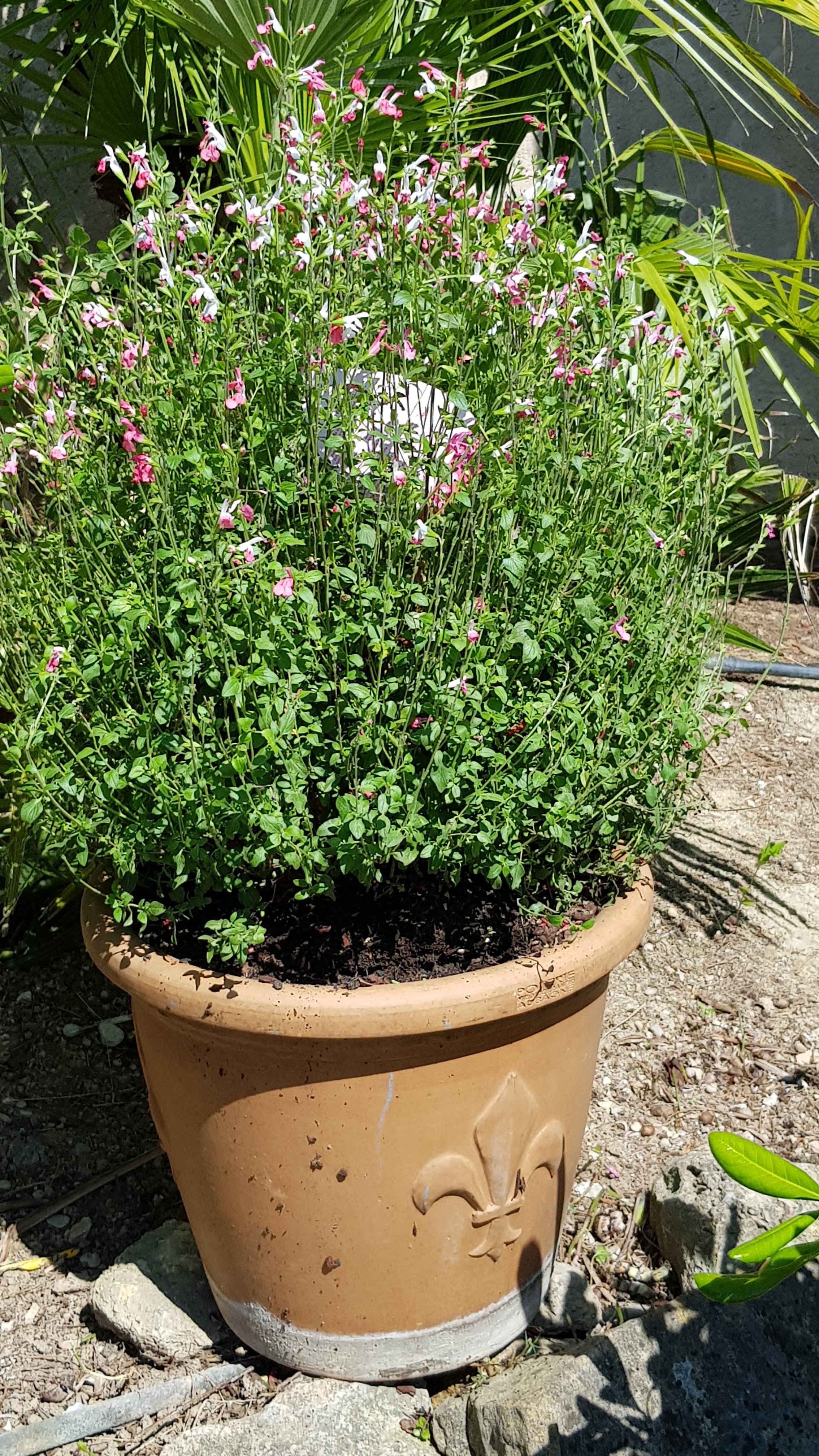 Photo n° 1 de l'avis de André.O fait le 23/05/2018 à 17:46