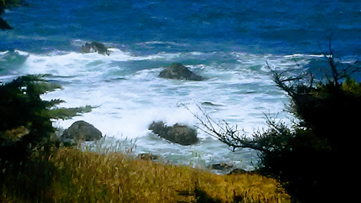 Park «MacKerricher State Park», reviews and photos, 24100 Mackerricher Park Rd, Fort Bragg, CA 95437, USA