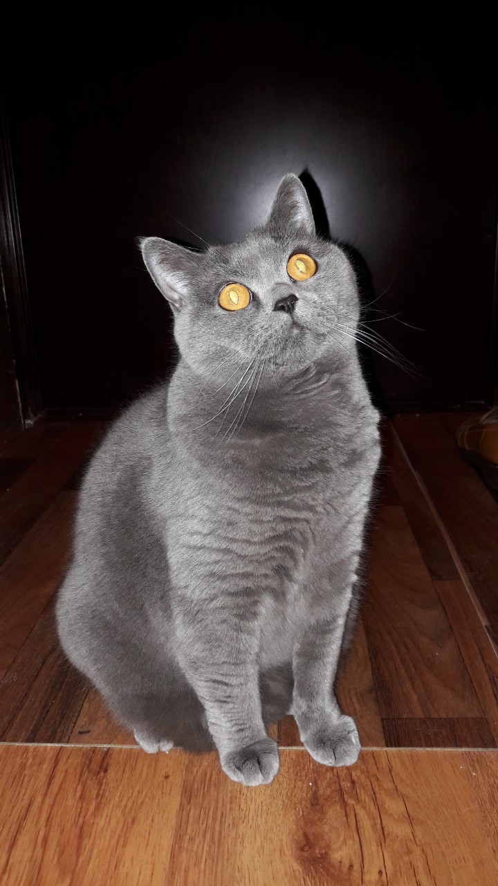 Photo n° 1 de l'avis de Léonard.A fait le 08/10/2019 à 12:17