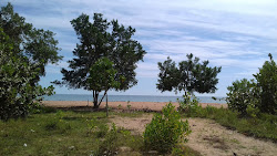 Foto von Lost Beach wilde gegend