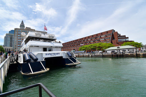 Aquarium «New England Aquarium», reviews and photos, 1 Central Wharf, Boston, MA 02110, USA