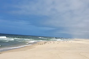 Praia do São Jacinto image