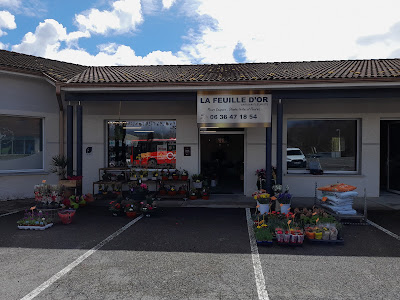 SARL LA FEUILLE D OR à Tournay