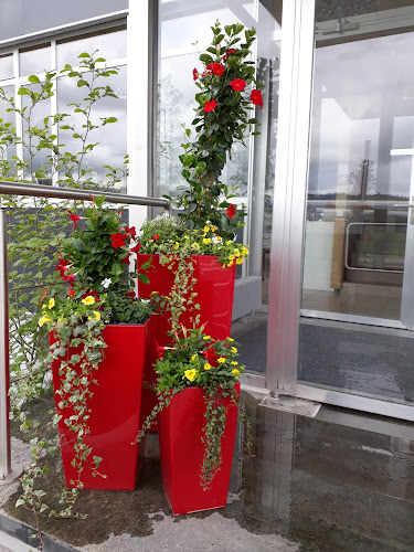 Weidweg 1, 4852 Rothrist