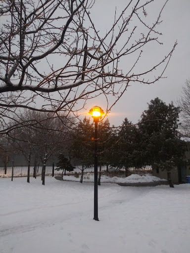 Park «Elmhurst Park», reviews and photos, 57th Ave & Grand avenue, Queens, NY 11373, USA