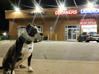 SoCal Wash and Fold - Highland Park - Photo 5 - Car repair in Highland Park, CA, Pasadena