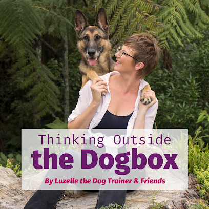 Thinking Outside the Dog Box