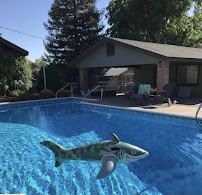 The Pool Managers - Photo 1 - Car repair in Roseville, CA, Roseville