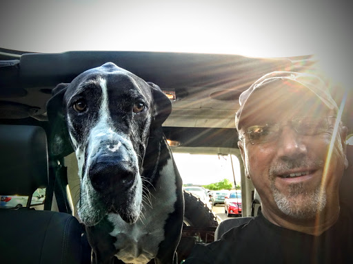 Pet Supply Store «PetSmart», reviews and photos, 198 Promenade Blvd, Flowood, MS 39232, USA