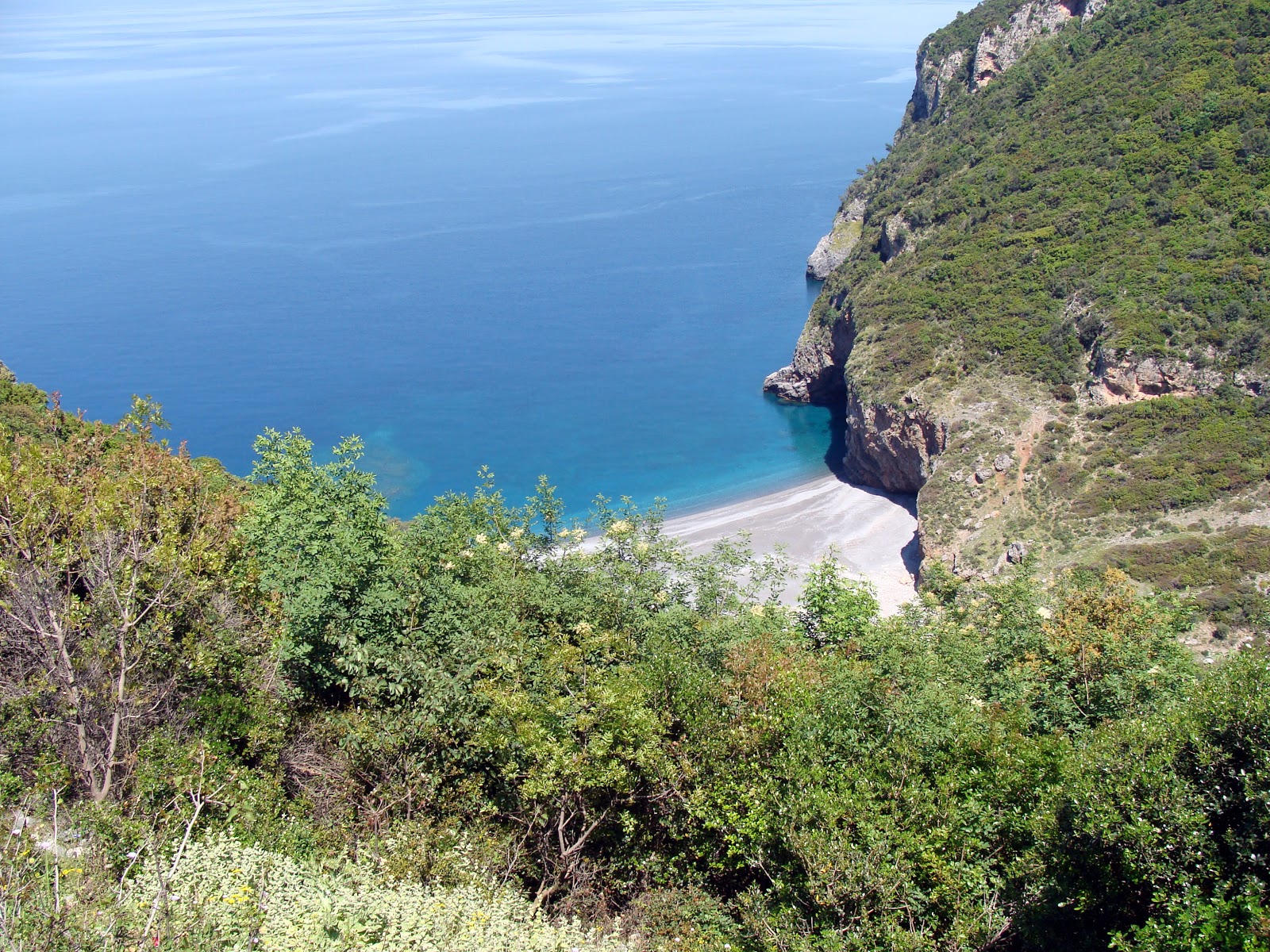 Foto di Spiaggia dei Petali zona selvaggia