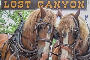 Lost Canyon Tours image