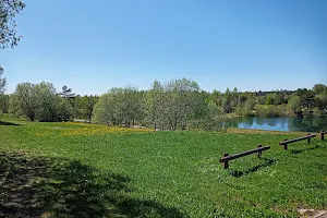 Pirgu discgolfi park image