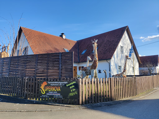 Grashüpfer, Grille & Co. unter Genderkingen, 