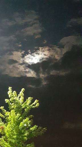 Grocery Store «Jubilee Foods», reviews and photos, 2131 Commerce Blvd, Mound, MN 55364, USA