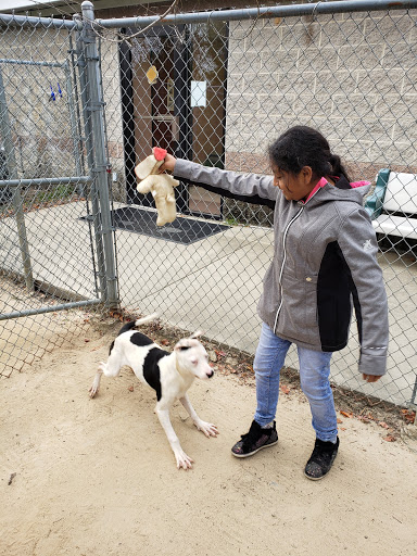 The Humane Society-Spay/Neuter/Vaccine Clinic image