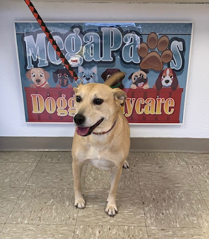 MegaPaws Doggie Daycare LLC