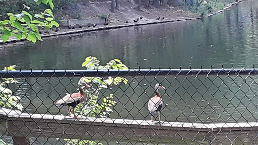 Park «Terry Hershey Park», reviews and photos, 15200 Memorial Dr, Houston, TX 77079, USA