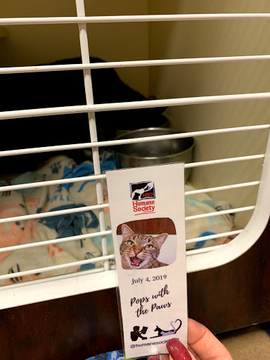 Animal Shelter «Humane Society of El Paso», reviews and photos