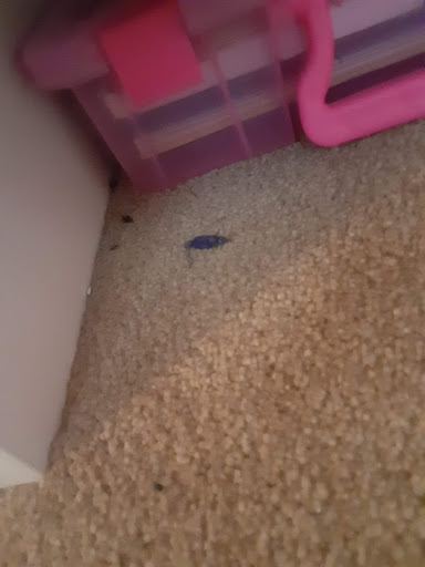 House Cleaning Service «MTO Cleaning Services», reviews and photos, 815 W Liberty St #2, Medina, OH 44256, USA